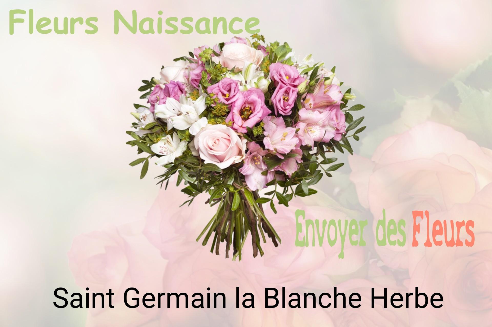 Bouquet de fleurs de naissance livré à Saint-Germain-la-Blanche-Herbe